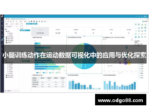 小腿训练动作在运动数据可视化中的应用与优化探索