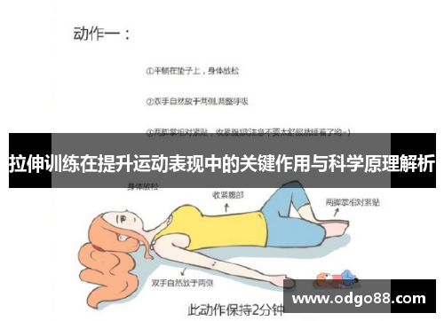 拉伸训练在提升运动表现中的关键作用与科学原理解析